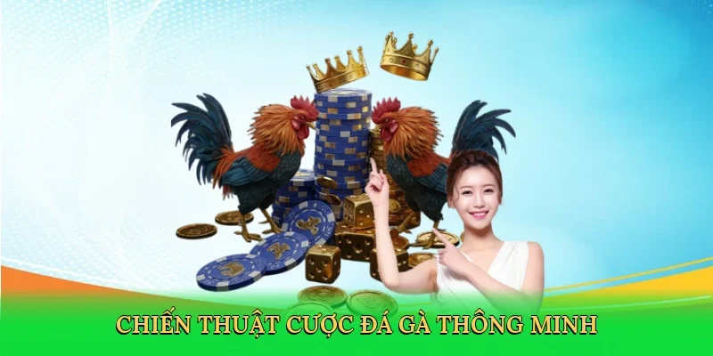 Chiến thuật cược đá gà thông minh