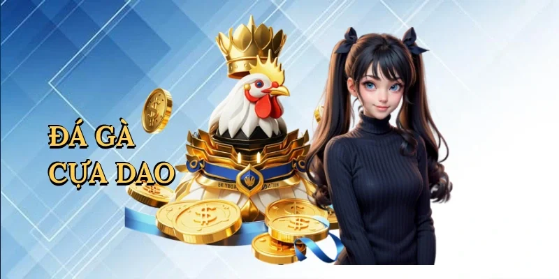 Đá gà cựa dao