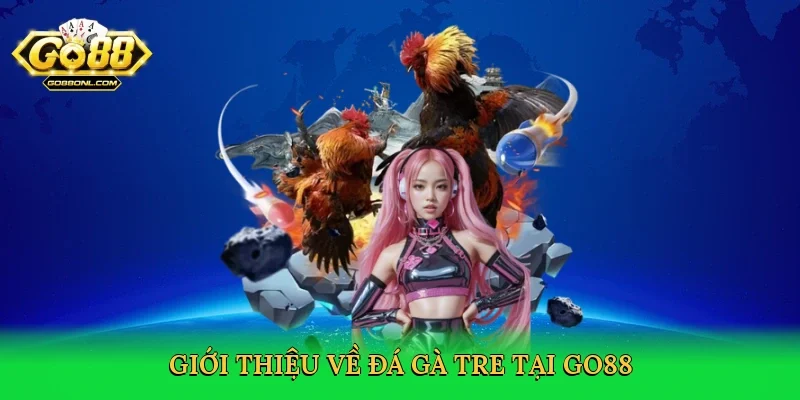 Giới thiệu về Đá gà tre tại Go88