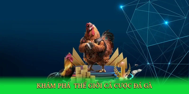 kham-pha-the-gioi-ca-cuoc-da-ga-3
