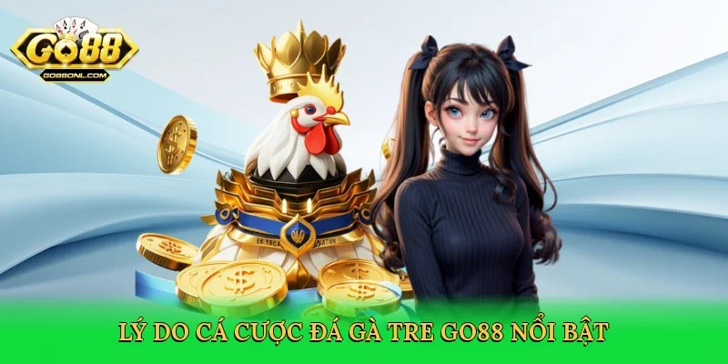 Lý do cá cược đá gà tre Go88 nổi bật