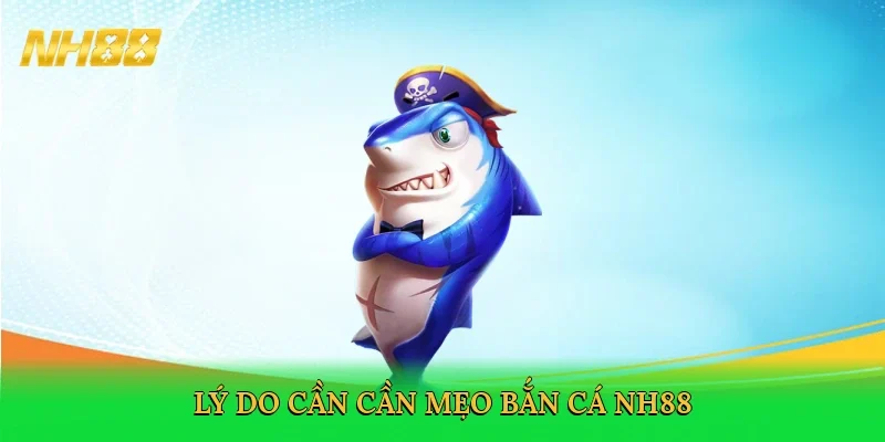 ly-do-can-can-meo-ban-ca-nh88-3