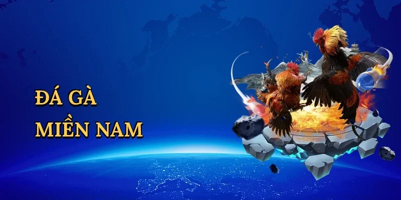 Đá gà miền nam