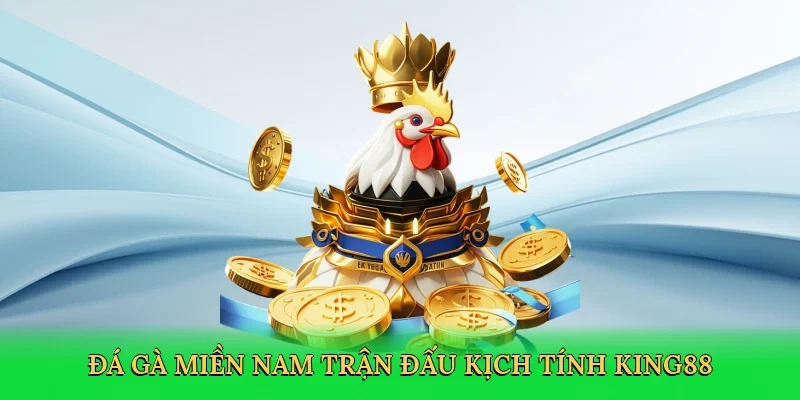Đá gà miền nam trận đấu kịch tính King88
